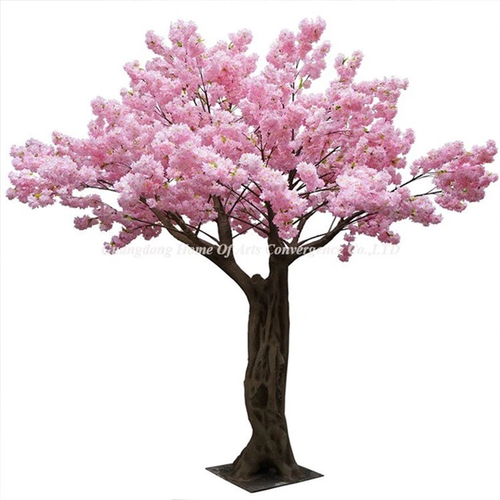 Árvore em flor de cerejeira rosa claro com 4 m de altura