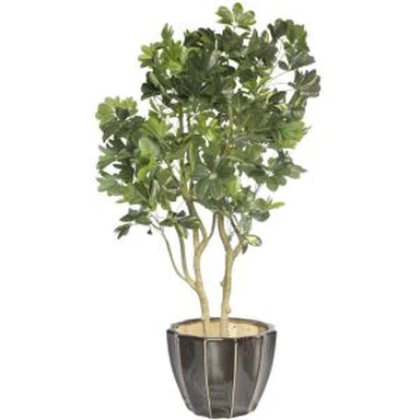 Plantas artificiais da árvore dos bonsais