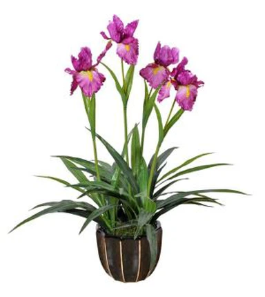 Planta de orquídea Cattleya artificial