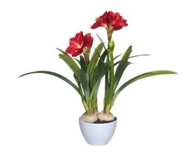 Planta artificial de Clivia