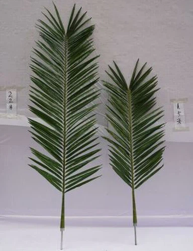 Folhas de coco artificial