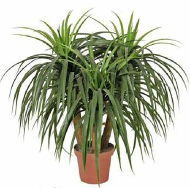 Plantas Artificiais Evergreen