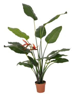 Planta Artificial do Paraíso
