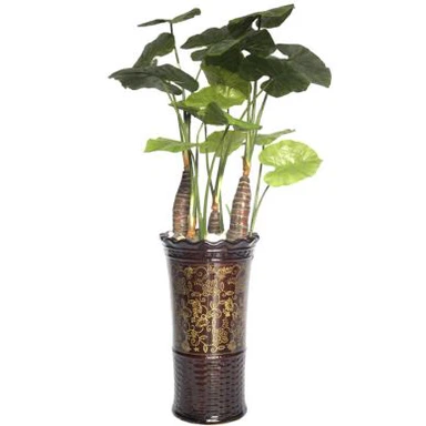 Vasos artificiais de colocasia esculenta