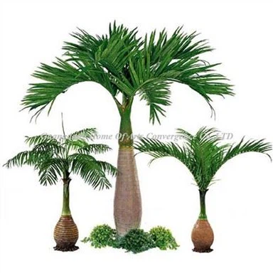 Fornecedor de mini-coqueiros de plástico