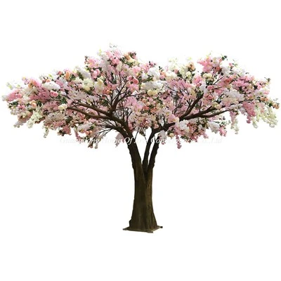 Árvore florida rosa